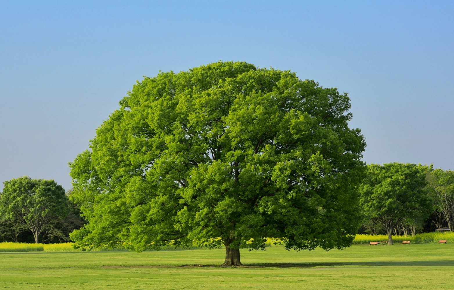 環境に、やさしく。